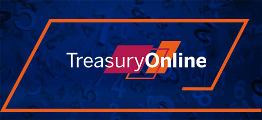 TreasuryOnline Video image